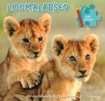 Pusleraamat. Loomalapsed